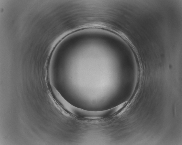 X0000056370862200508291359