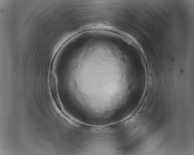 X0000056370863200508291359