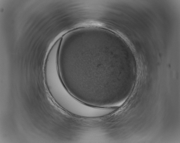 X0000056370864200508291359