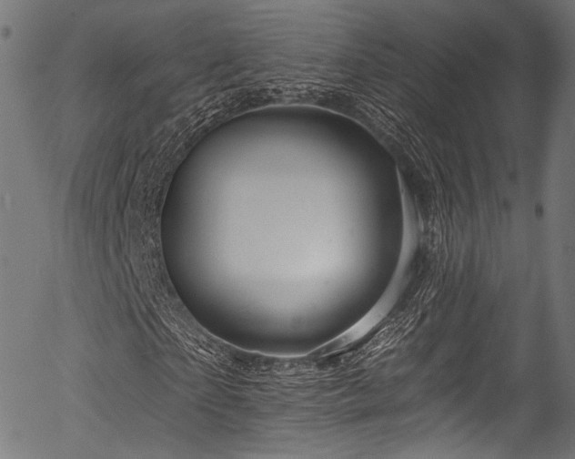 X0000056370865200508291358