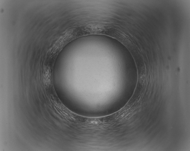 X0000056370866200508291358