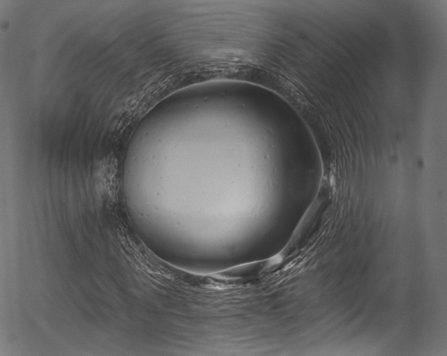 X0000056370867200508291358