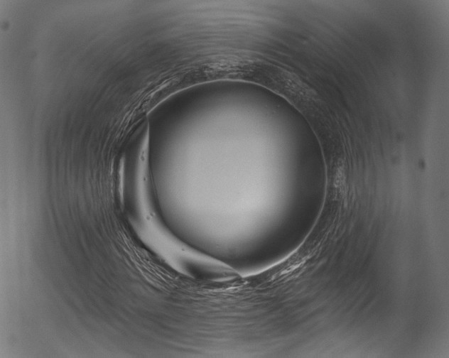 X0000056370868200508291358