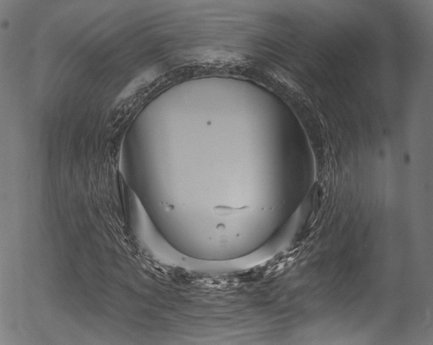 X0000056370869200508291358