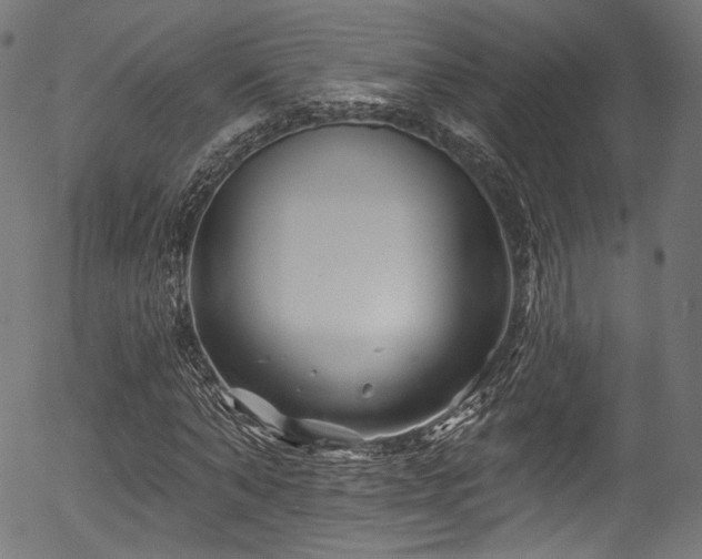 X0000056370870200508291358