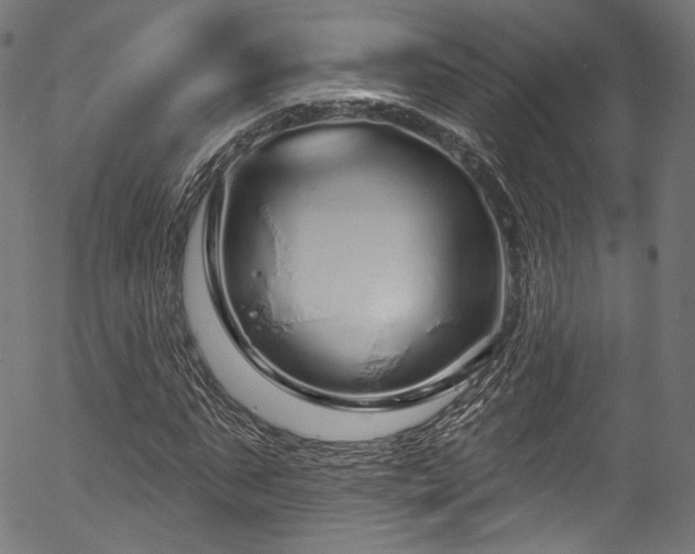 X0000056370871200508291358