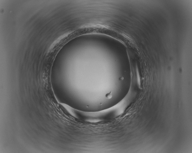 X0000056370872200508291358