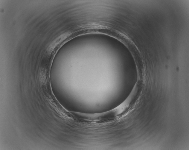 X0000056370873200508291358