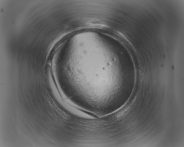 X0000056370875200508291358