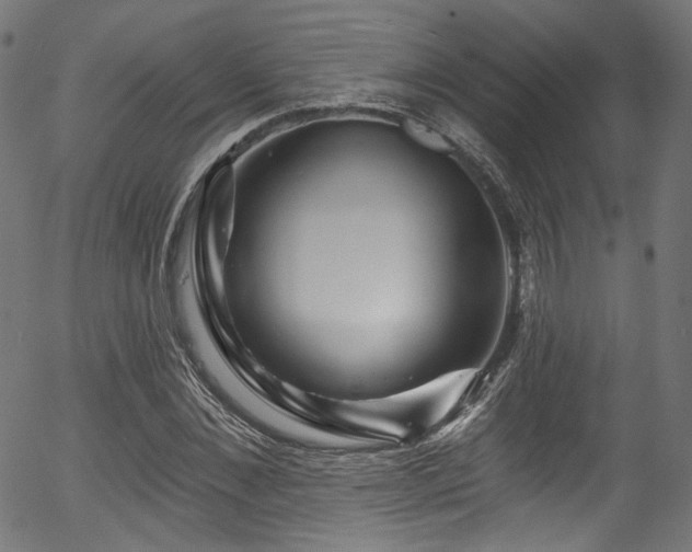 X0000056370876200508291358