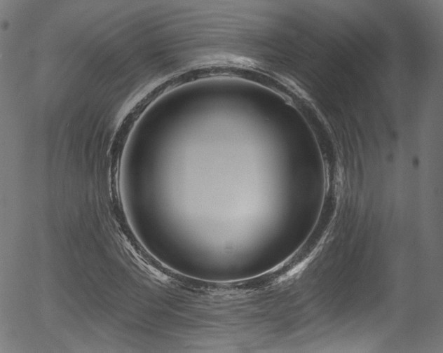 X0000056370877200508291358