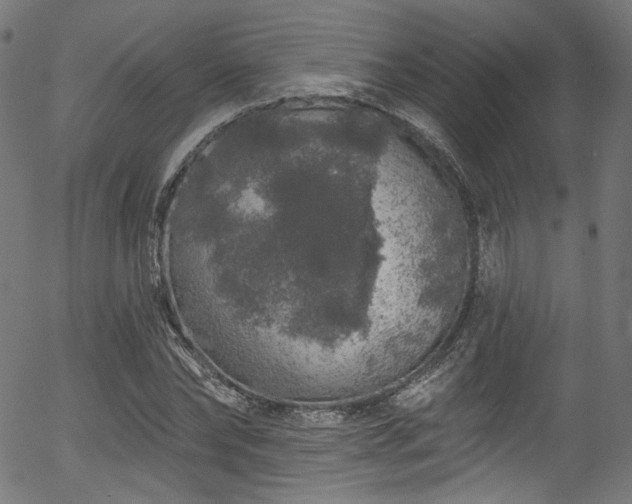 X0000056370878200508291358