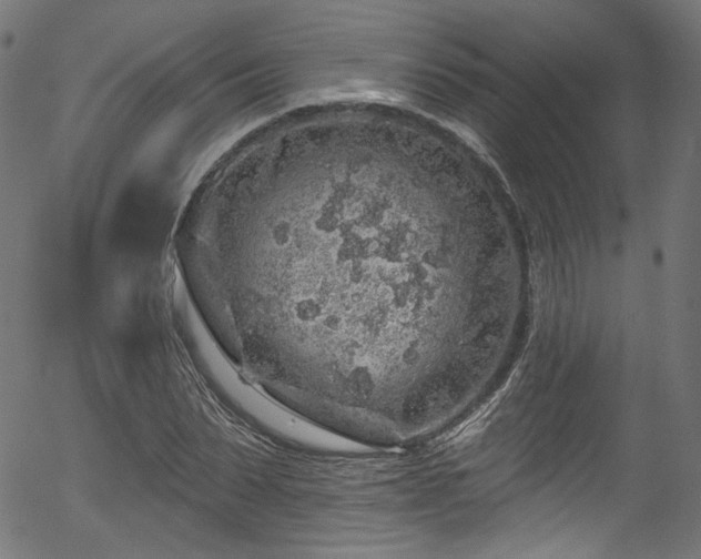 X0000056370879200508291358