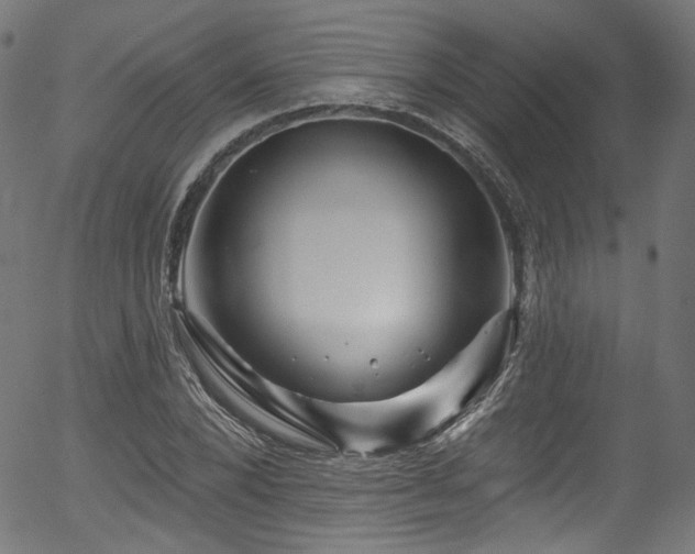 X0000056370880200508291358