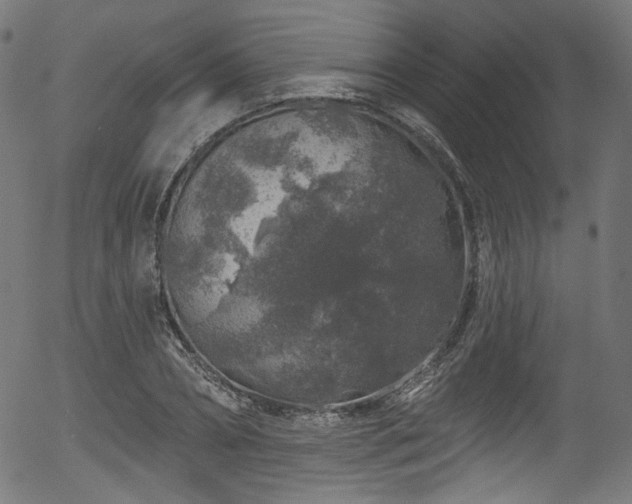 X0000056370882200508291358