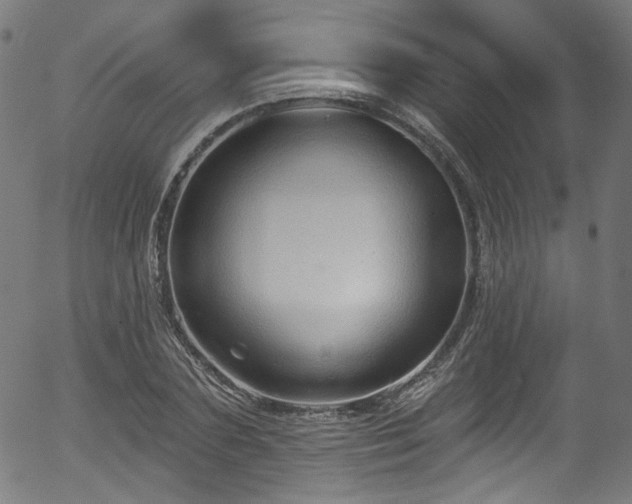 X0000056370883200508291358