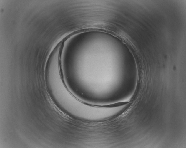 X0000056370884200508291358