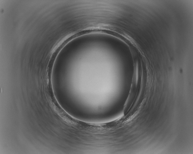 X0000056370885200508291358