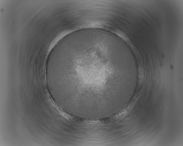 X0000056370886200508291358