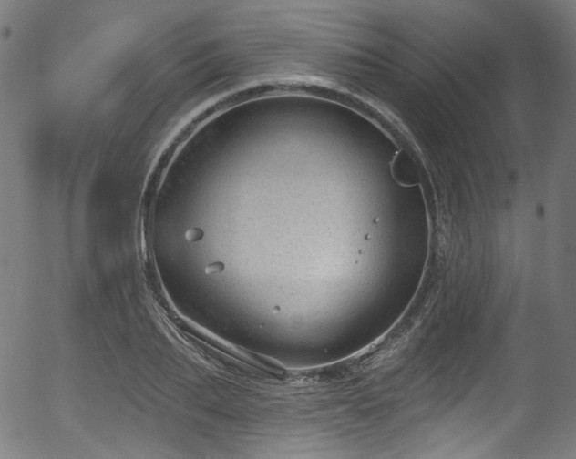 X0000056370887200508291358