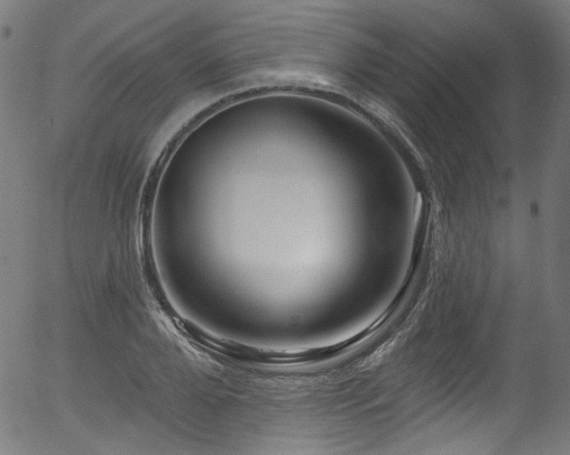 X0000056370888200508291358