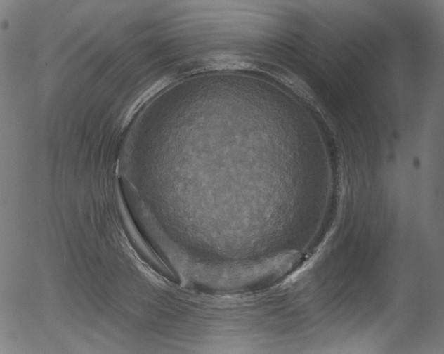 X0000056370889200508291358