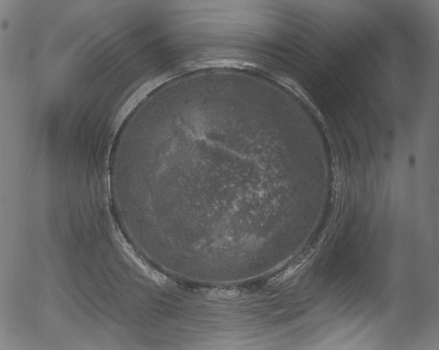 X0000056370890200508291358