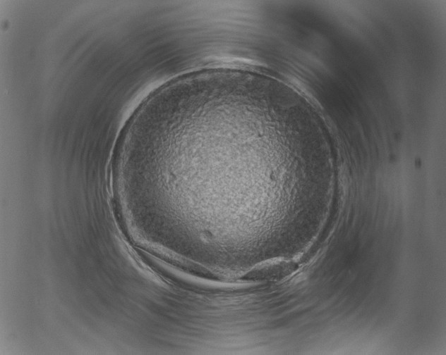 X0000056370891200508291358