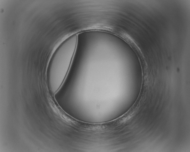 X0000056370892200508291358