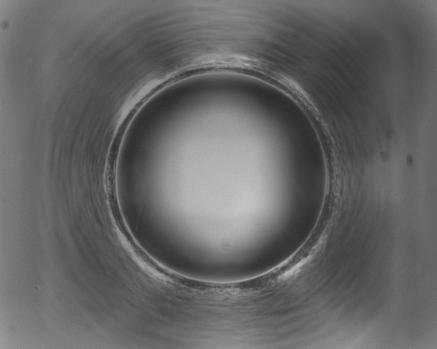 X0000056370893200508291357