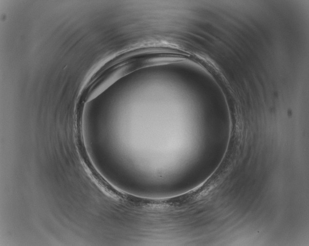 X0000056370894200508291357