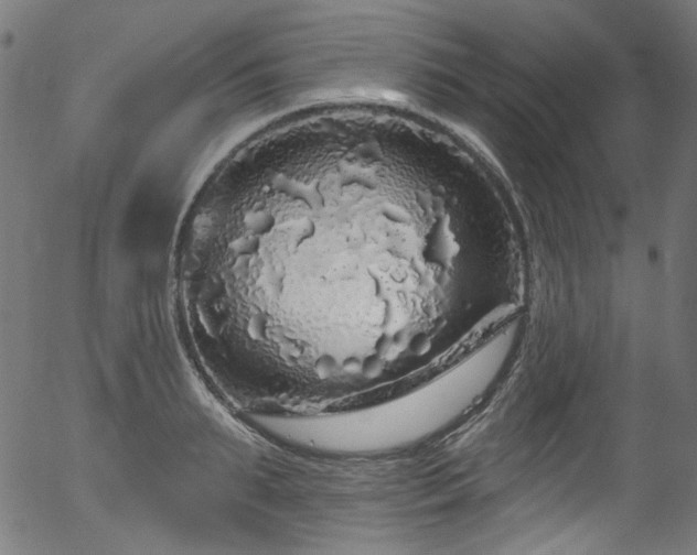 X0000056370895200508291357