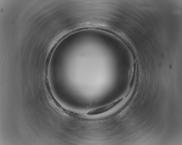 X0000056370896200508291357