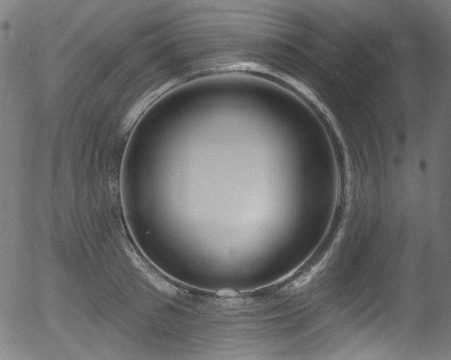 X0000056370897200508291357