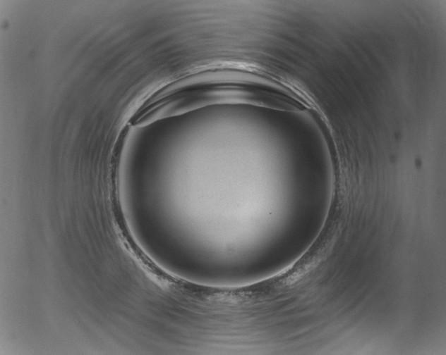 X0000056370898200508291357