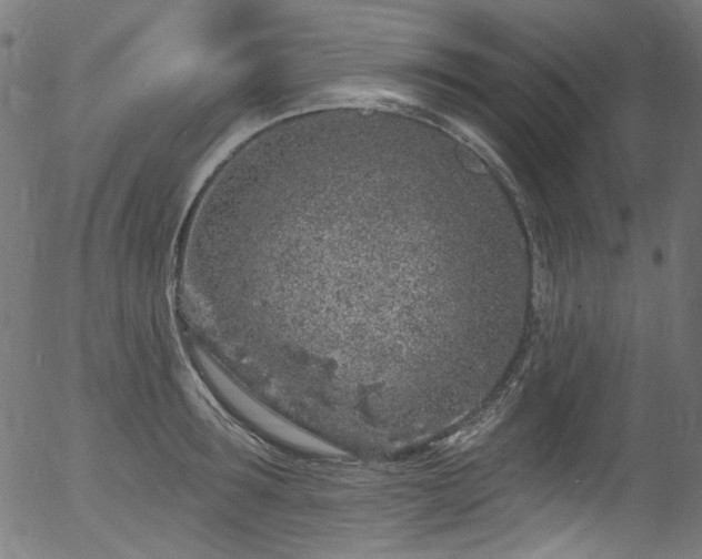 X0000056370899200508291357