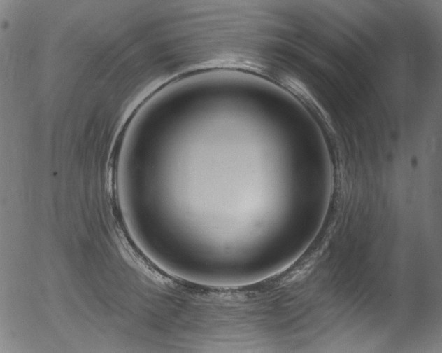 X0000056370900200508291357