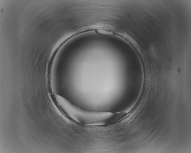 X0000056370902200508291357