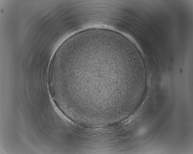 X0000056370903200508291357