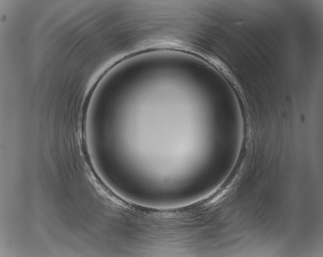 X0000056370904200508291357