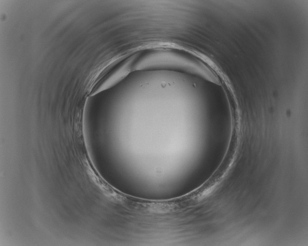 X0000056370905200508291357