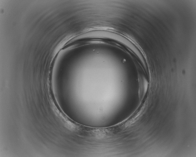 X0000056370906200508291357