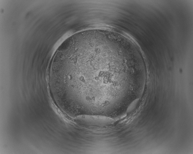 X0000056370907200508291357