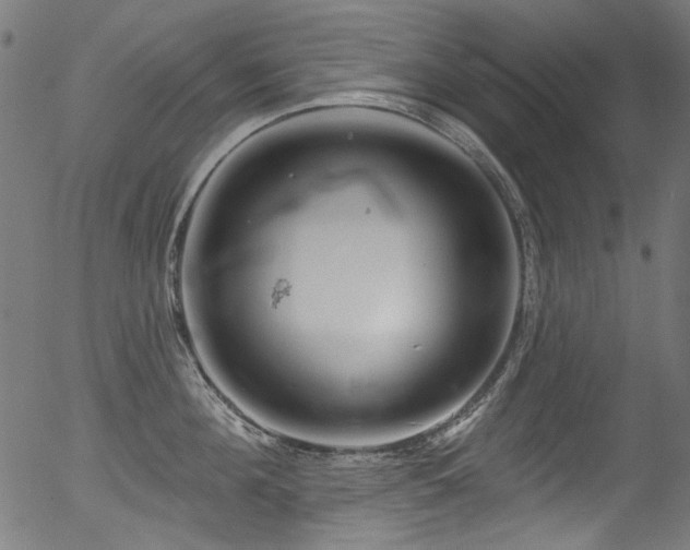 X0000056370908200508291357