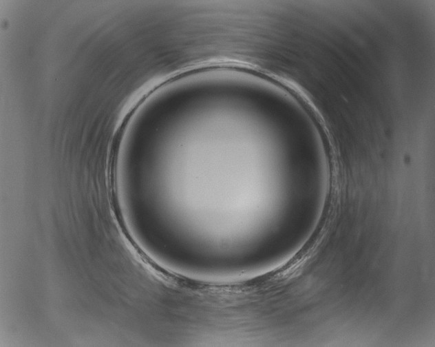 X0000056370910200508291357