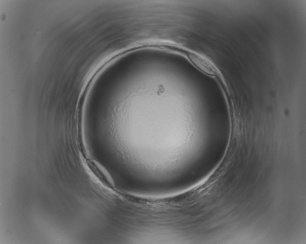 X0000056370911200508291357