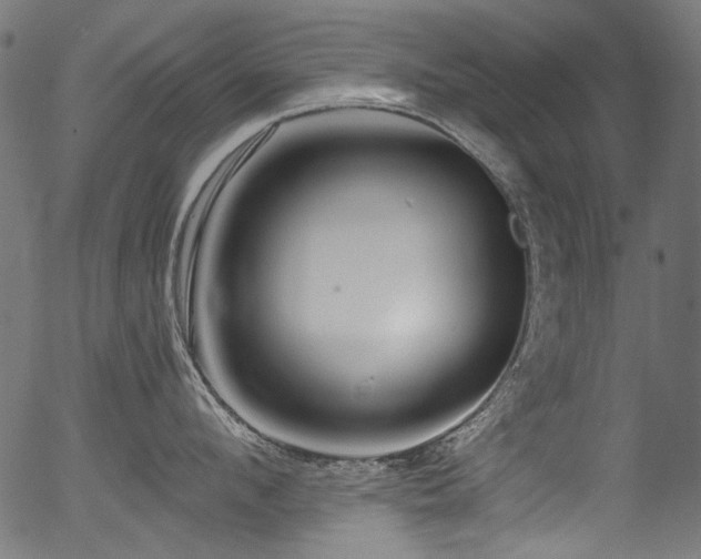 X0000056370912200508291357