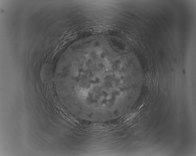 X0000056370913200508291356