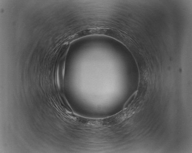 X0000056370914200508291356