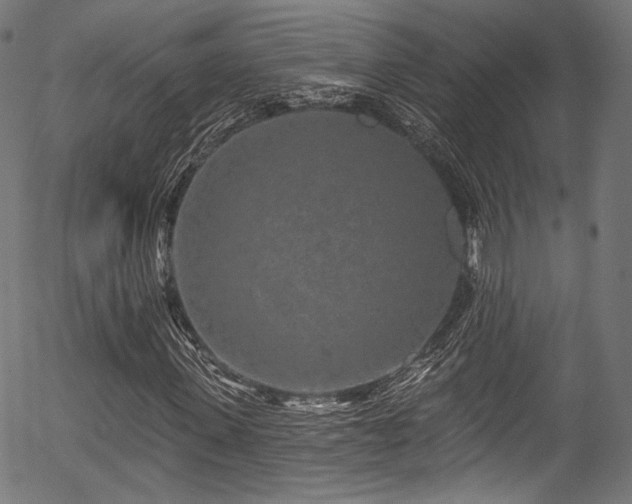 X0000056370915200508291356